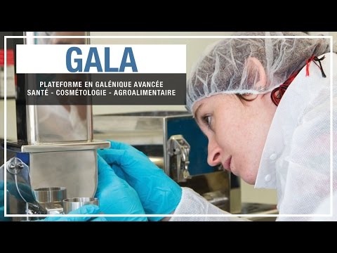 Gala